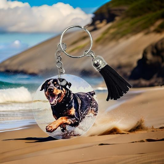 Rottweiler on the beach