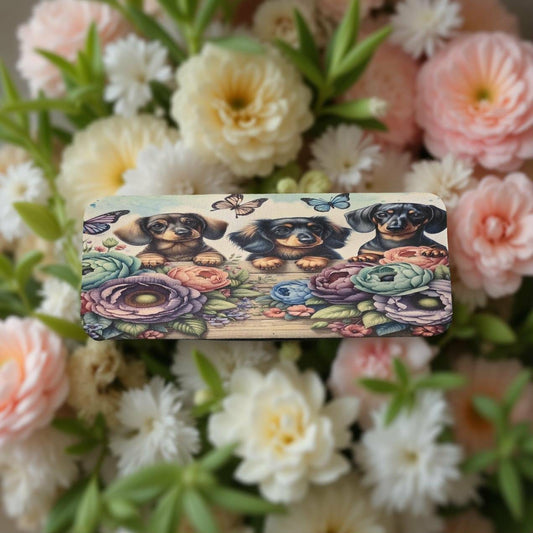 3 Cute Dachshunds in the garden