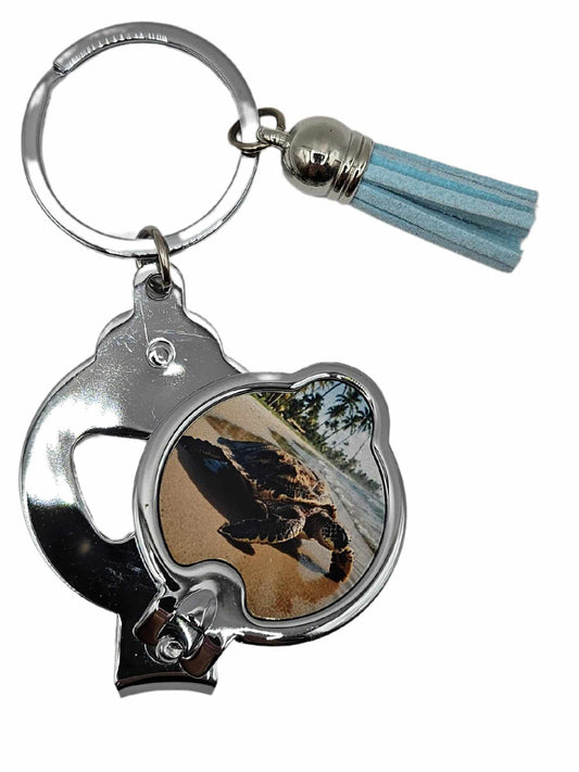 Turtle on beach NO.3