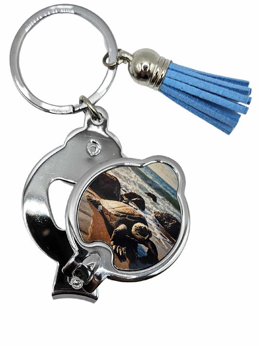 Turtle on the beach NO.2