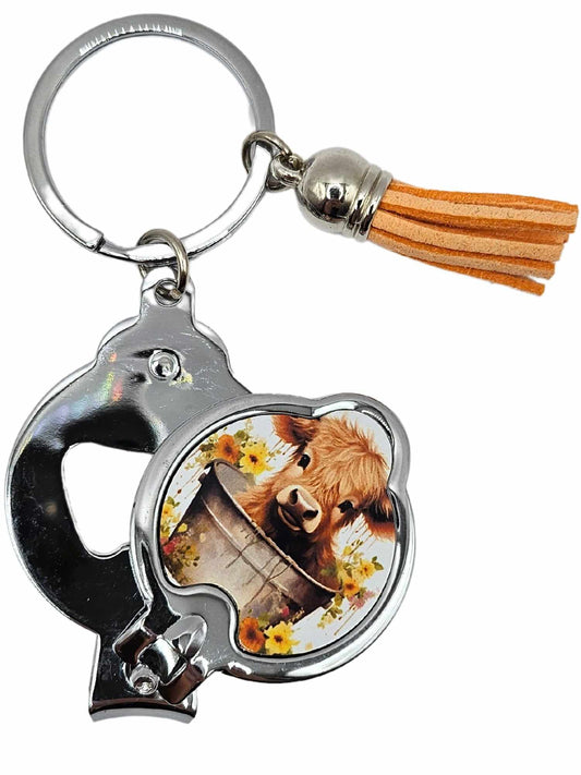 Highland Cow in bucket