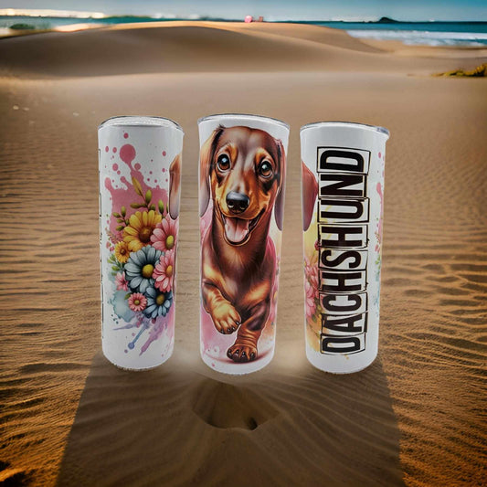 Dachshund