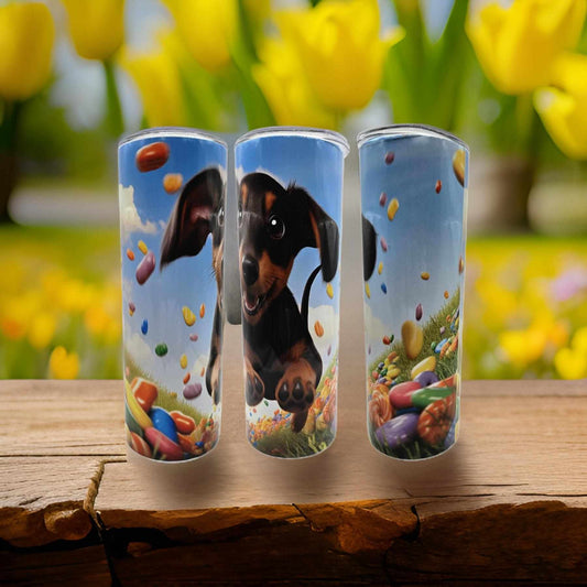 Dachshund with Candy