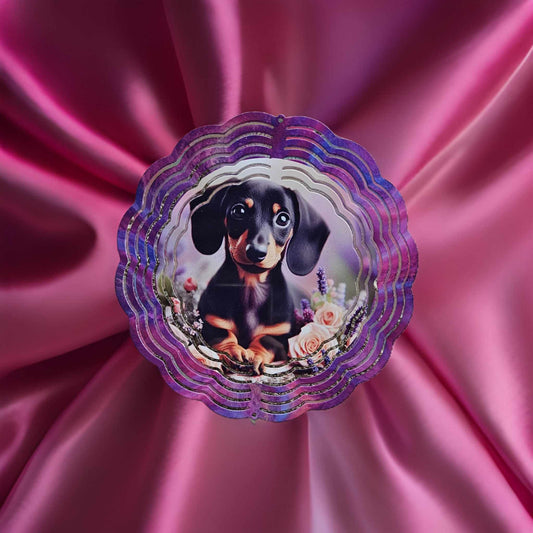 Black Dachshund