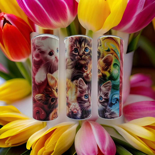 Kittens