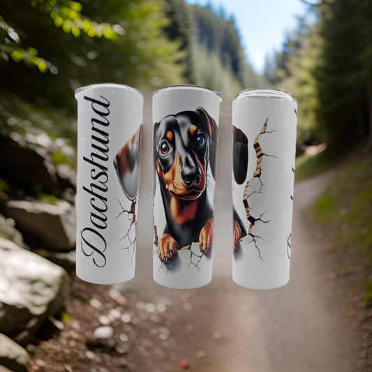 Break wall Dachshund