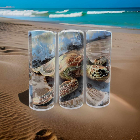 Turtle on the beach