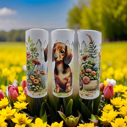 Dachshund in the garden