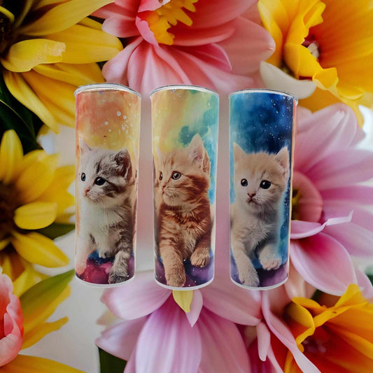 3 Cute Kittens