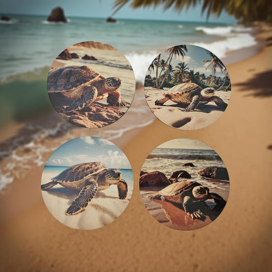 Turtles on the beach