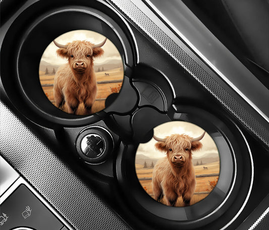 Cute baby highland cow in field