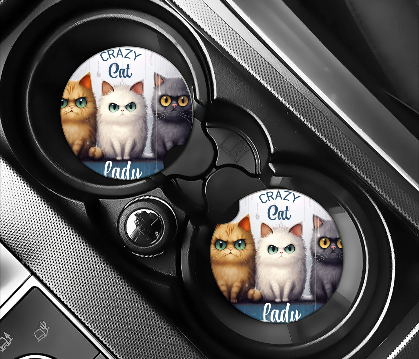 Crazy cat lady NO.2