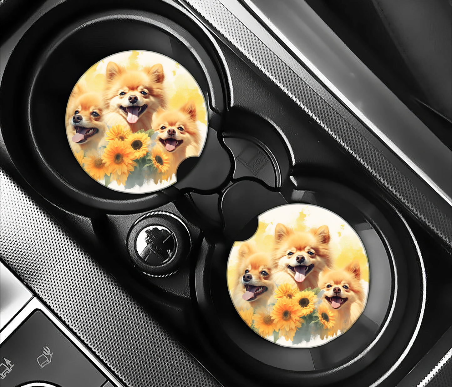 Sunflowers and Pomeranians