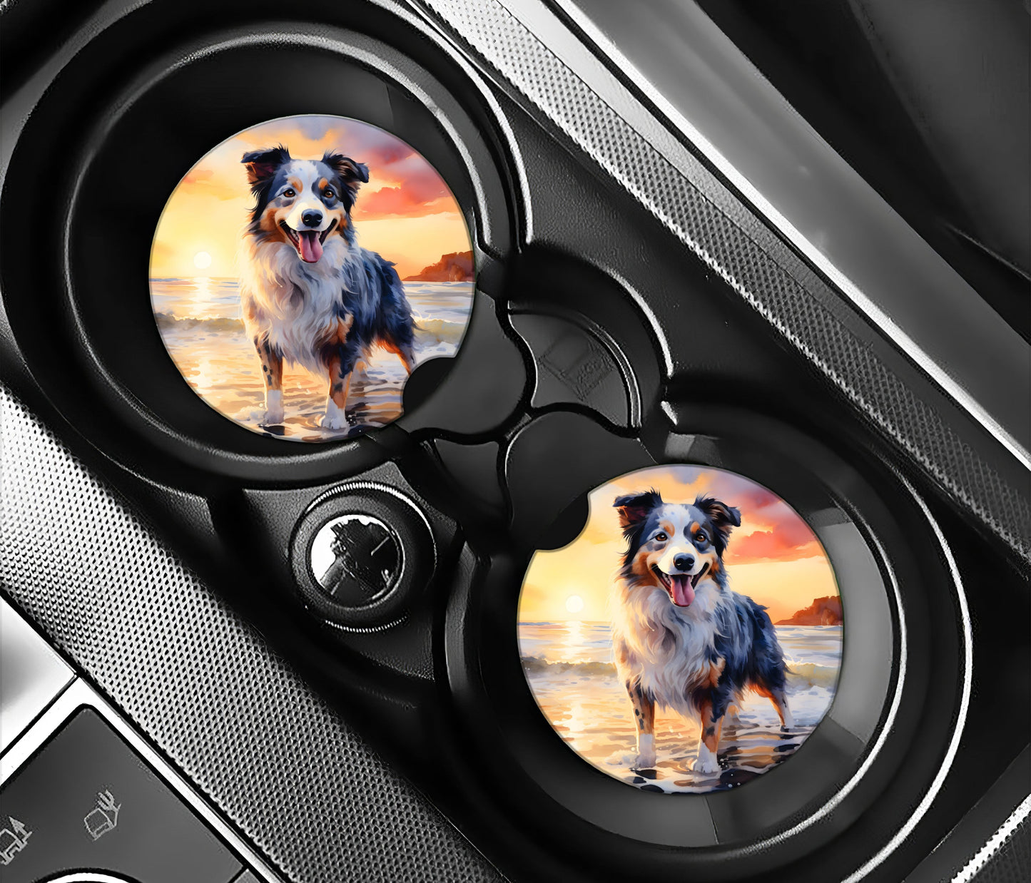 Australian Shepherd on the Beach