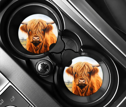 Highland cow