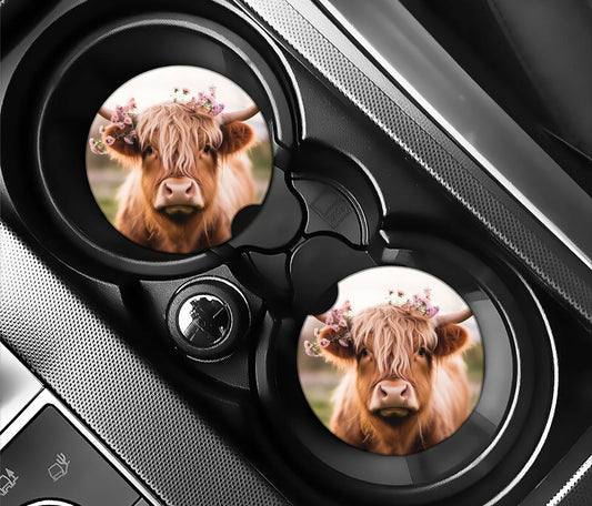 Highland cow and pink daisies