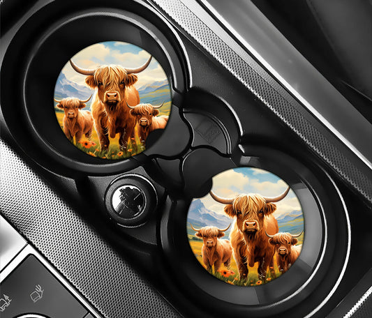 Highland cow family in field