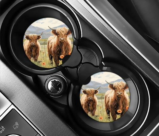 Highland cows in field