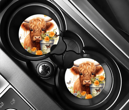 Highland cow in a bucket
