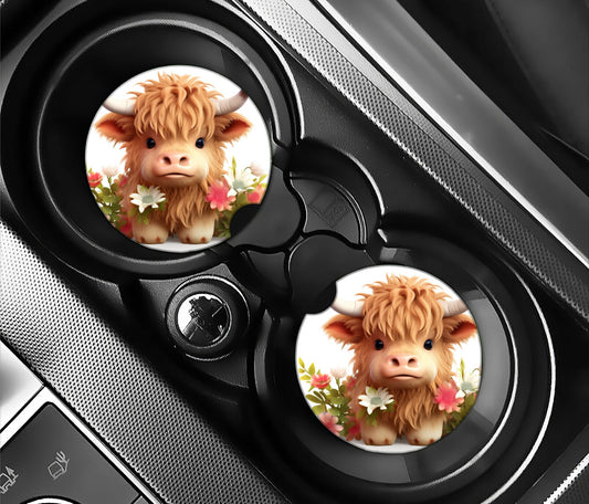 Baby Highland Cow