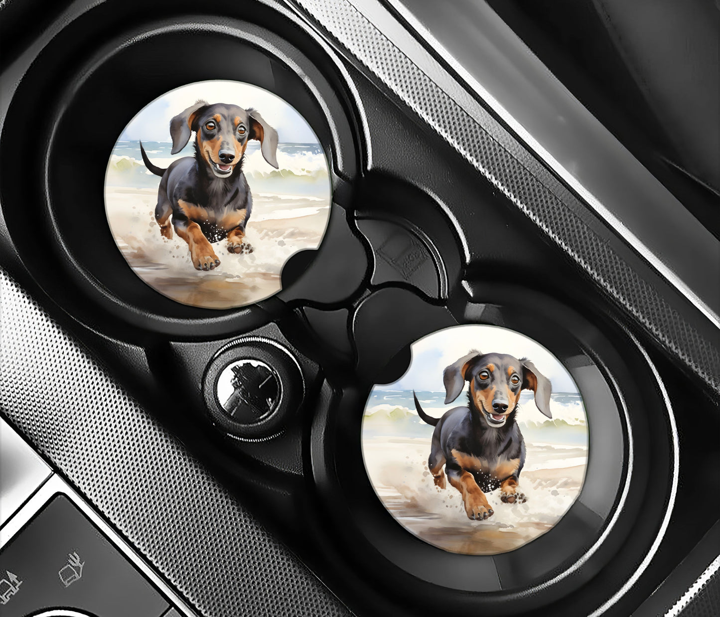 Black Dachshund on the beach