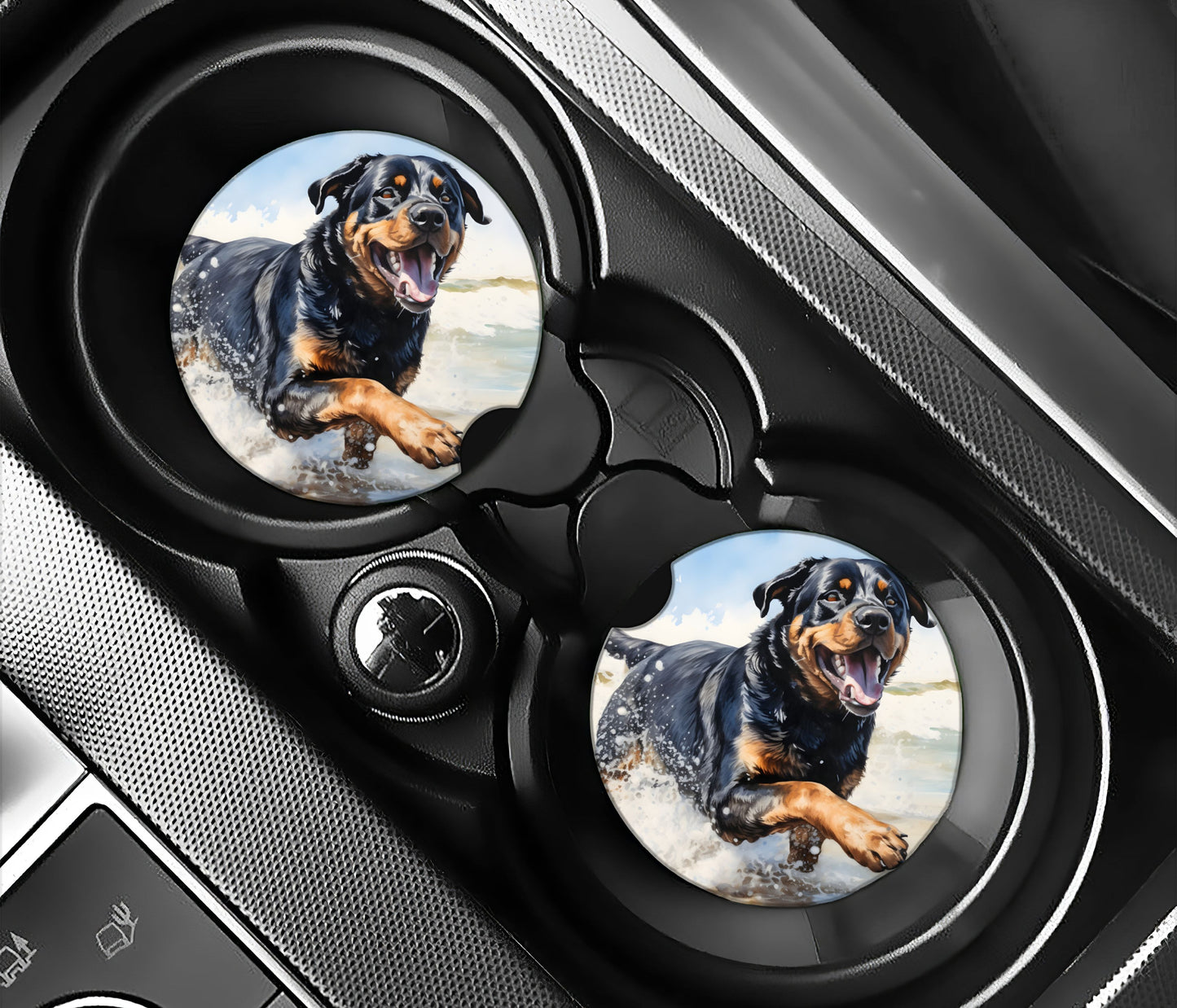Rottweiler on the beach