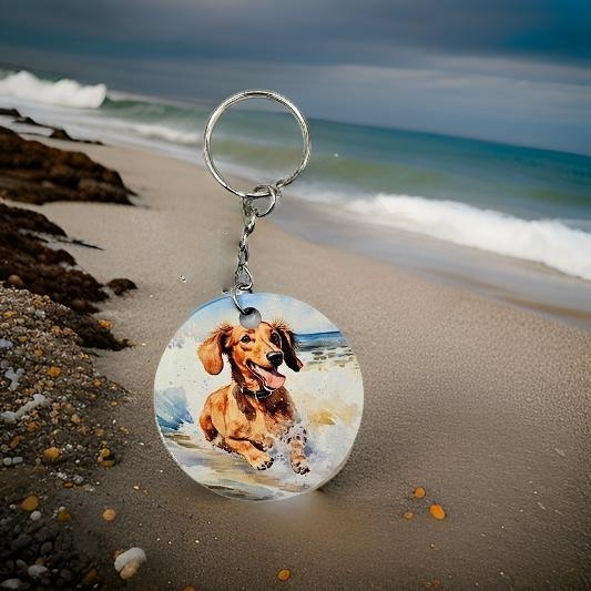 Brown Dachshund on the beach
