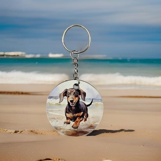 Black Dachshund on the beach