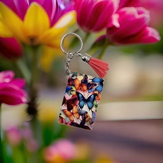 Colourful Butterflies