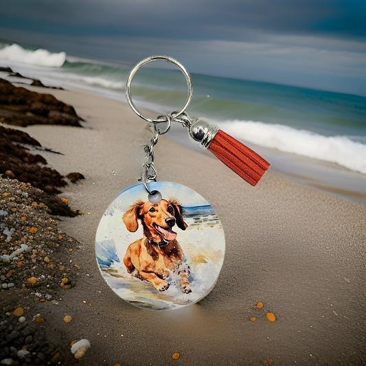Brown Dachshund on the beach