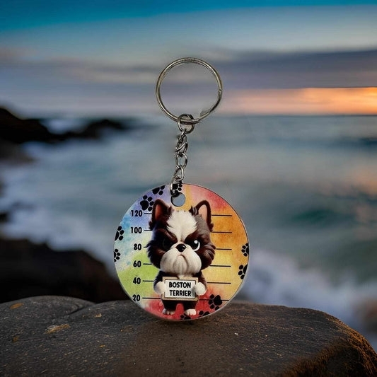 Jail - Boston Terrier